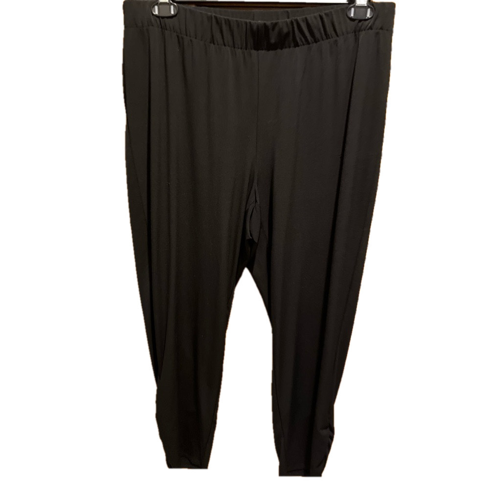 194. WOMENS CHICO’S 2/L DETAIL PANTS